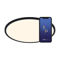 Nordlux Oja Smart 29 Deckenleuchte Metall Schwarz 15W 1600lm - 827-865 Abstimmbares Weiß | 294mm - Wifi und Blautooth Dimmbar